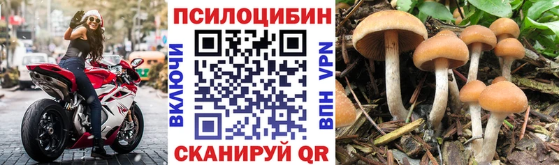 Галлюциногенные грибы Psilocybe  Лиски 